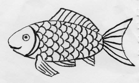 goldfish pattern